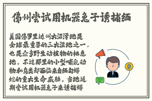 911制品厂麻花5557